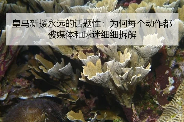 皇马新援永远的话题性：为何每个动作都被媒体和球迷细细拆解